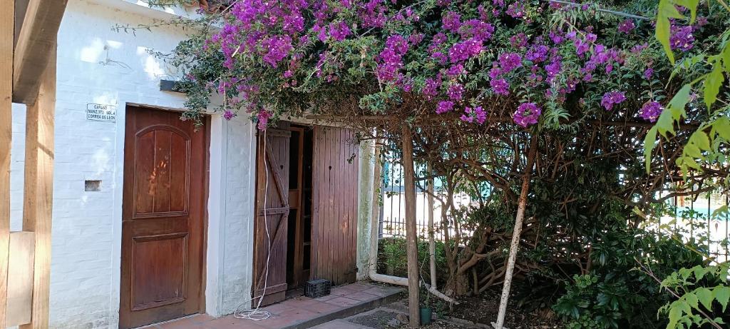 Un árbol con flores púrpuras al lado de una puerta en San Luis A 4 del mar Centrica, en San Luis