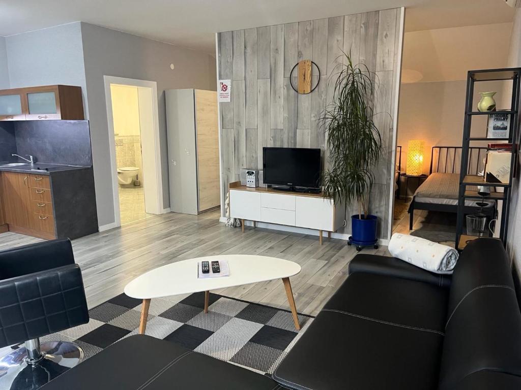 a living room with a couch and a tv at Apartments RENESANCE in Bojnice