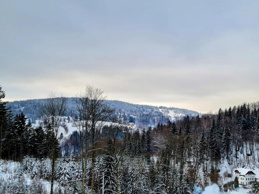 Příroda nedaleko apartmánu