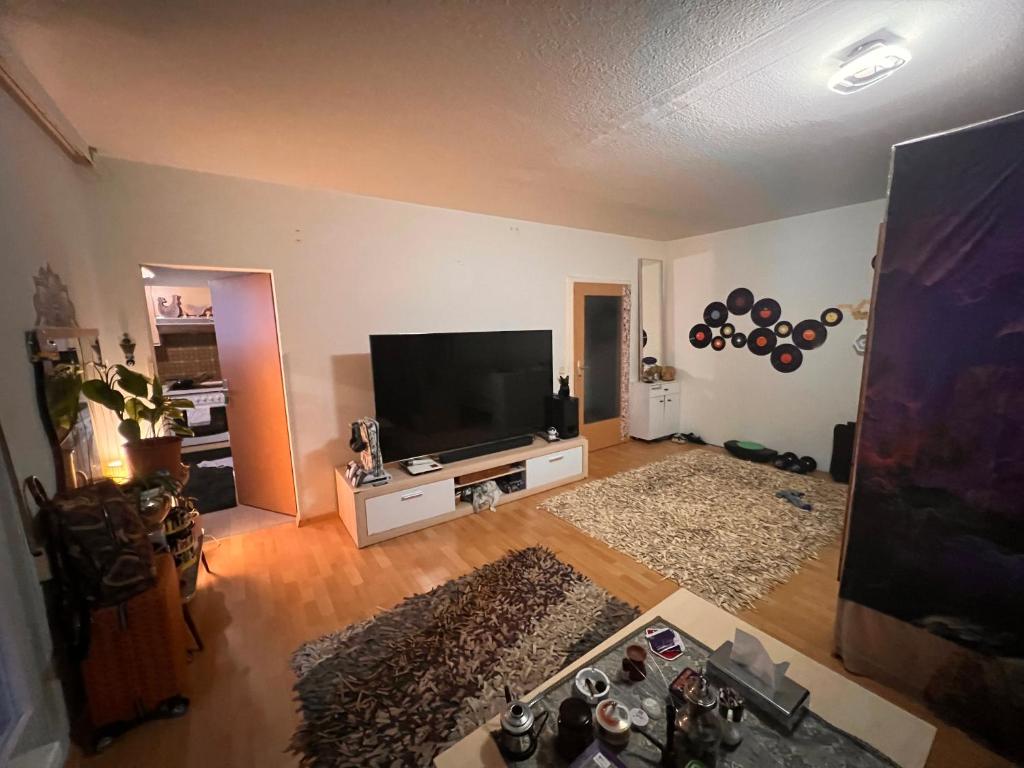 ein leeres Wohnzimmer mit einem Flachbild-TV in der Unterkunft Cosy Privat in Wien