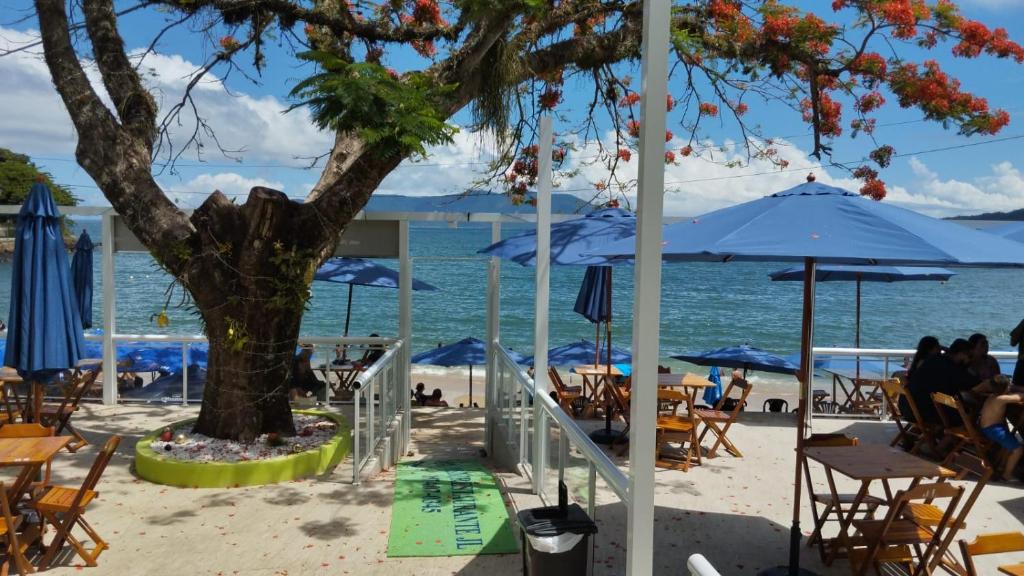 un albero sulla spiaggia con sedie e ombrelloni di Pousada e Restaurante J L . a Mangaratiba