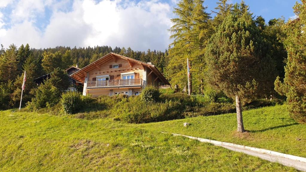 a log house on a hill with a tree at Chalet La Louise avec vue imprenable in Crans-Montana