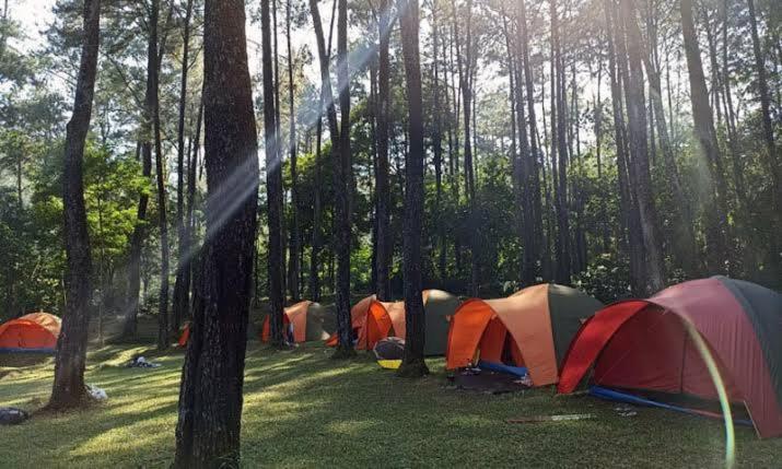 a group of tents in a field with trees at Wong Deso Camping in Seminyak