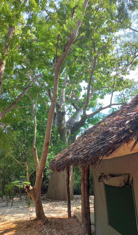 Fotografie z fotogalerie ubytování Bamba Kofi Lodge v destinaci Watamu