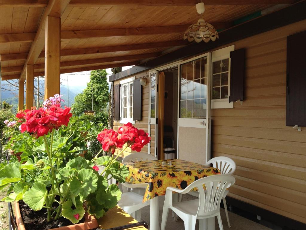 Zahrada ubytování Camping Royal