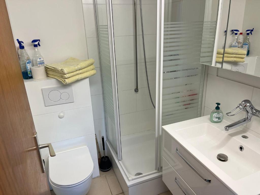 schönes Apartment mit Festungsblick - FREE Parking -