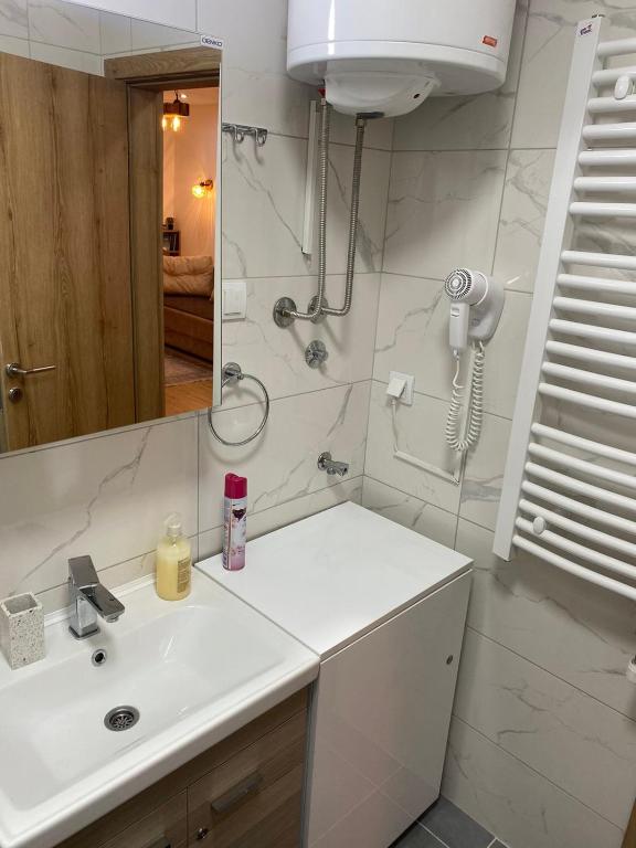 Koupelna v ubytování Apartman Zeleni vrhovi
