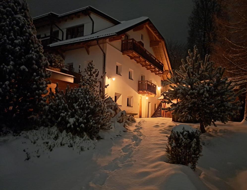 Apartments Im Winkl during the winter