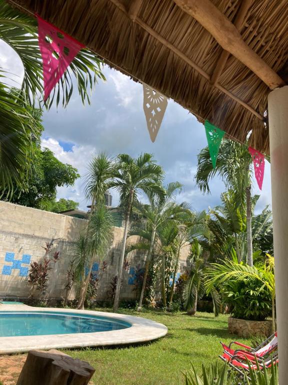 - une piscine dans une cour avec des palmiers dans l'établissement GREEN PARADISE LEONA VICARIO, à Leona Vicario