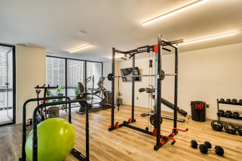 A compact gym with a power rack, cardio machines and free weights.
