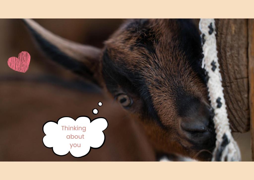 een baby geit met een gedachte bubbel die zegt dat hij aan jou denkt bij Agriturismo Podere le Fornaci in Greve in Chianti
