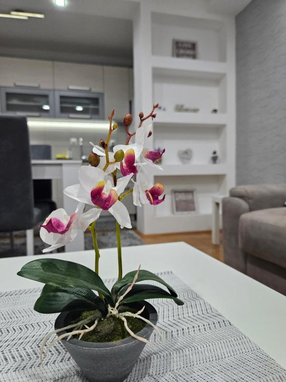 een vaas met witte en roze bloemen op een tafel bij Apartman Vukota Pirot in Pirot