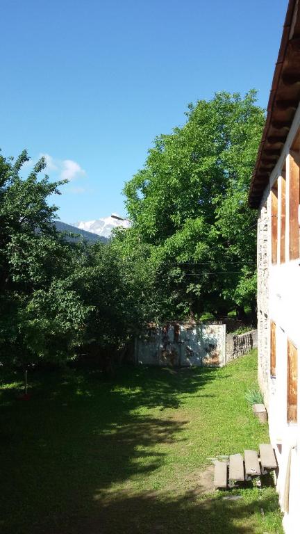 Jardí fora de Guesthouse Mountain View