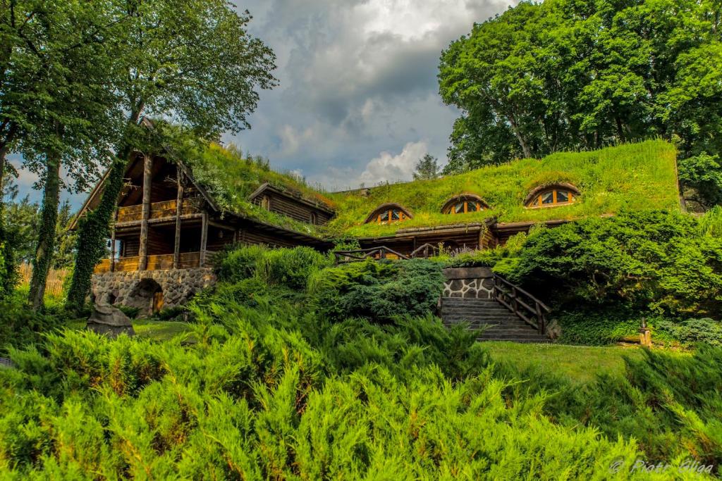 a house covered in green grass at Kraina Alkos - Adults Only (18+) in Iznota