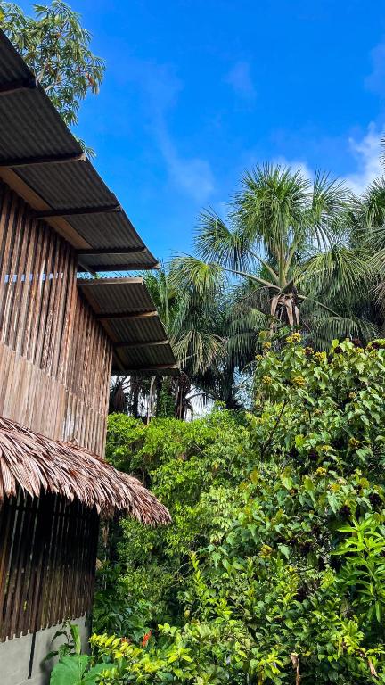 Zahrada ubytování Amazona Lodge