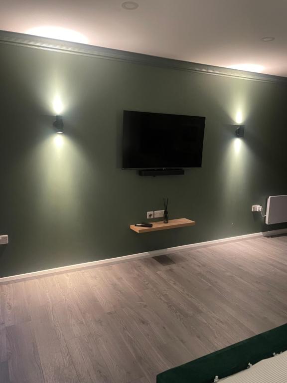 sala de estar con TV de pantalla plana en una pared verde en Woodland lodge green room en Dungiven
