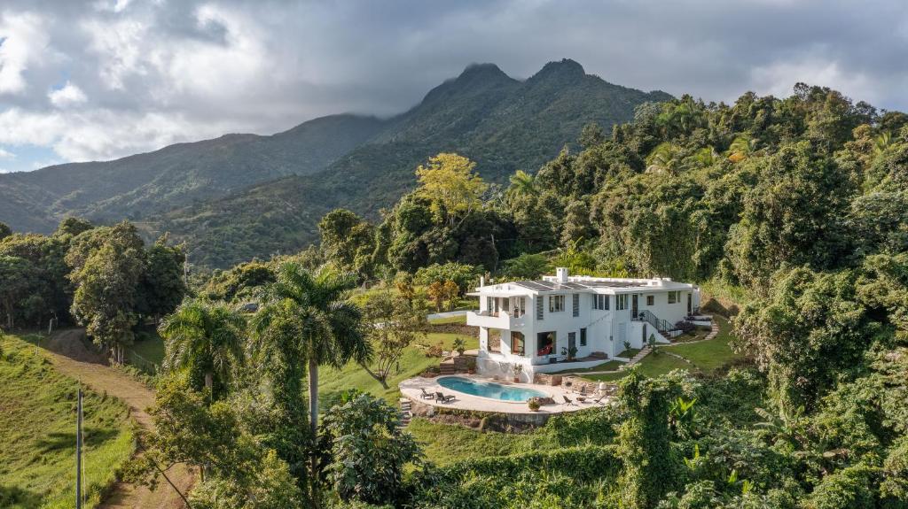 an aerial view of a house in the mountains at WALD HAUS by DW in Naguabo