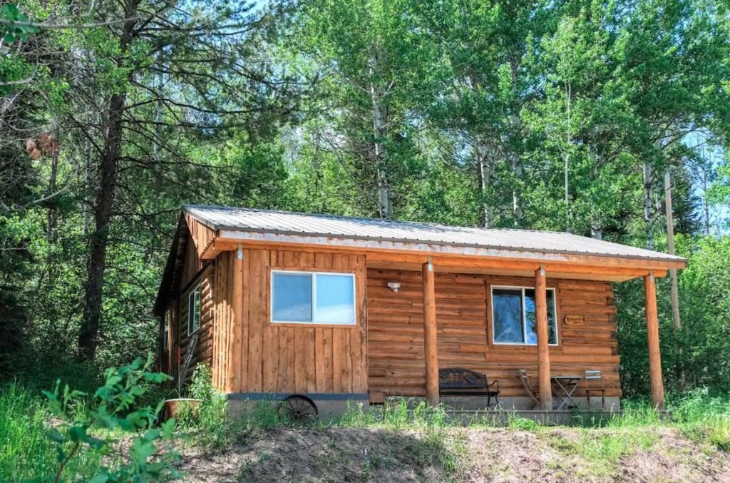 Gallery image of Renovated Historic Cabin - Teton Views! in Driggs