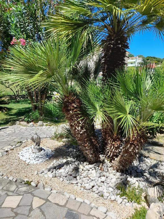 Zahrada ubytování Apartments and rooms with parking space Palit, Rab - 22221