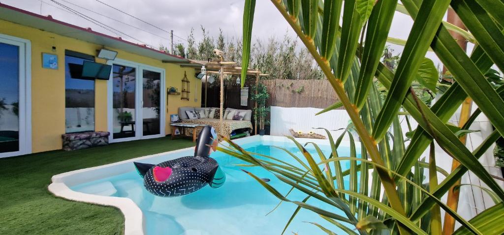 una casa con una piscina con un gato negro en el patio en El refugio los portales, en Arucas