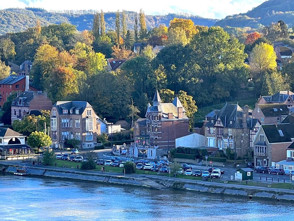 een stad met auto's geparkeerd naast een rivier bij Villa Mosan Bord de Meuse - Mes Caprices B&B in Namen