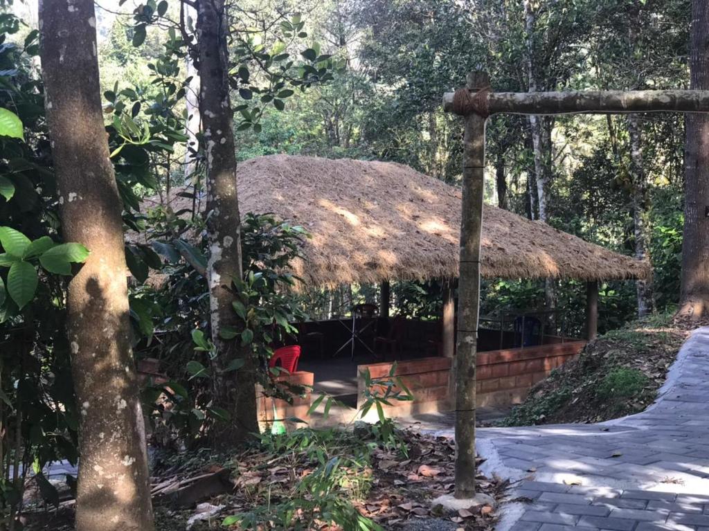 uma cabana com telhado de palha numa floresta em Edakkal Cottages N Dormitory em Ambalavayal