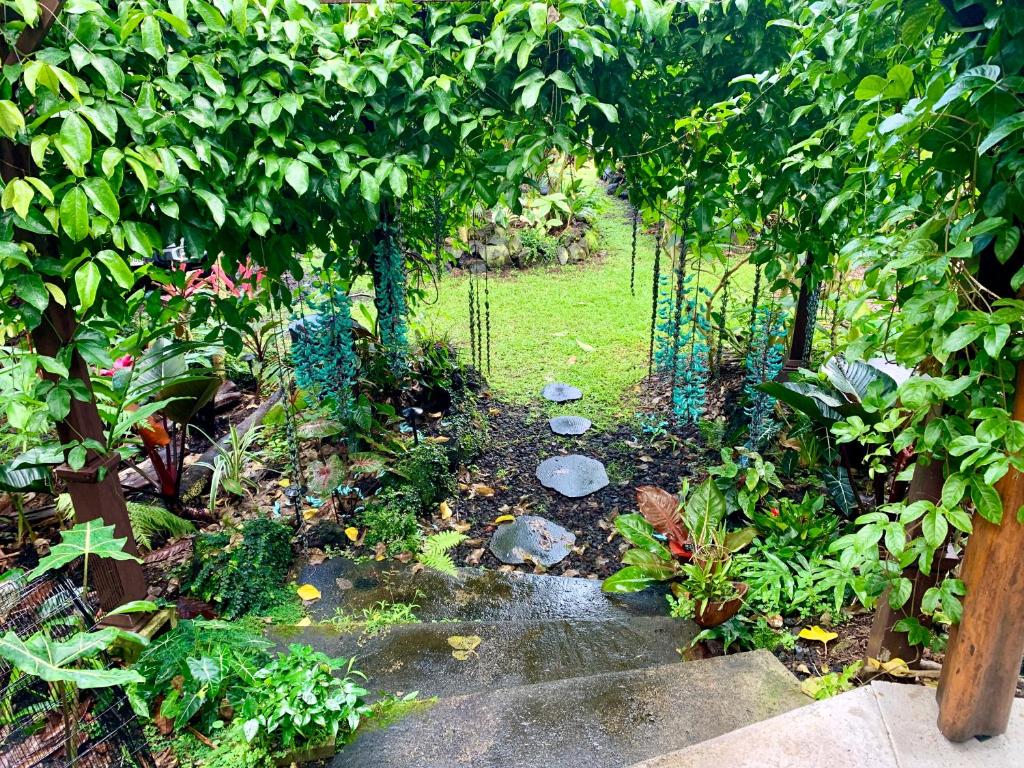 a garden with a path through a garden with plants at Phoenix Garden in Pahoa