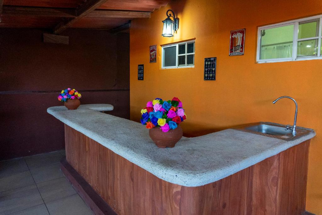 uma cozinha com um lavatório e flores num balcão em Villa La Casita em Santa Ana