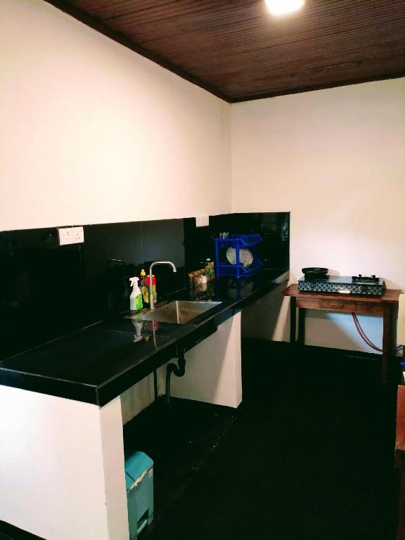 Kuchyň nebo kuchyňský kout v ubytování Villa Yuvin