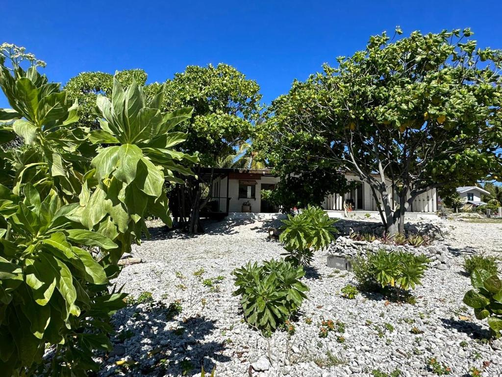 un jardín frente a una casa con árboles en Fare Mahai, en Avatoru