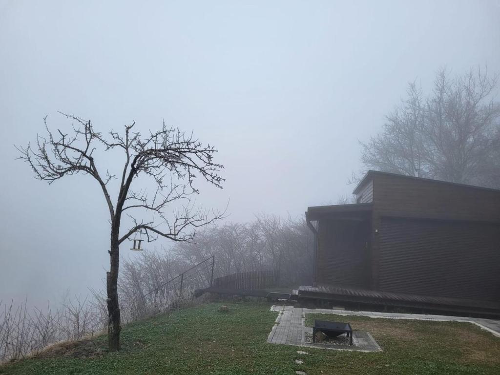 a tree next to a building in the fog at Country House in Kamenskoye Plato