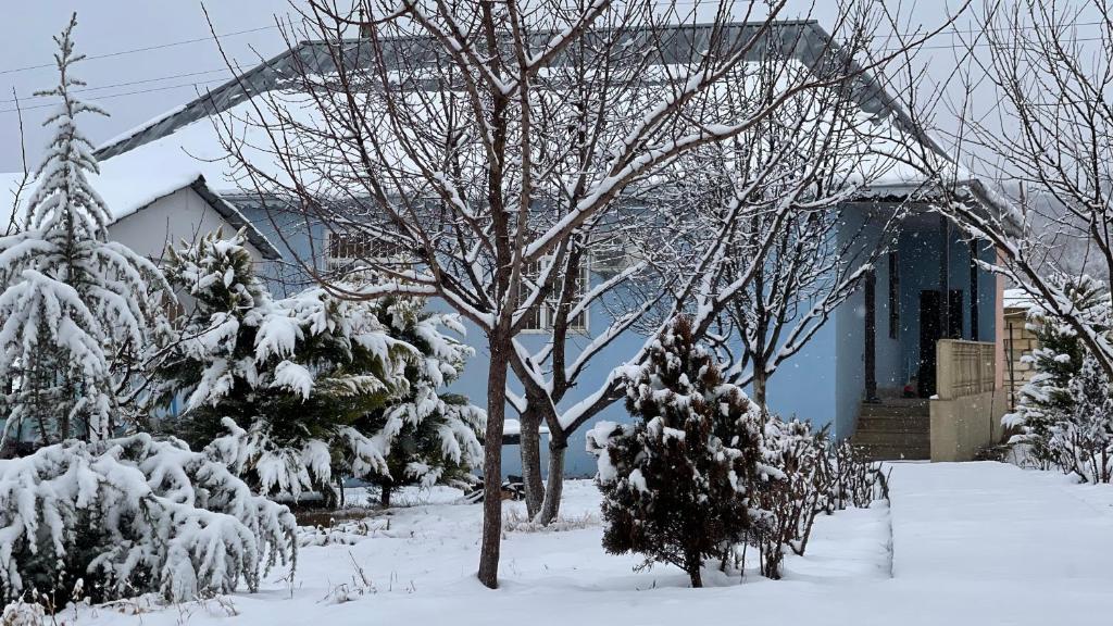 a house with snow covered trees in a yard at AkbA-Frame1 in İsmayıllı