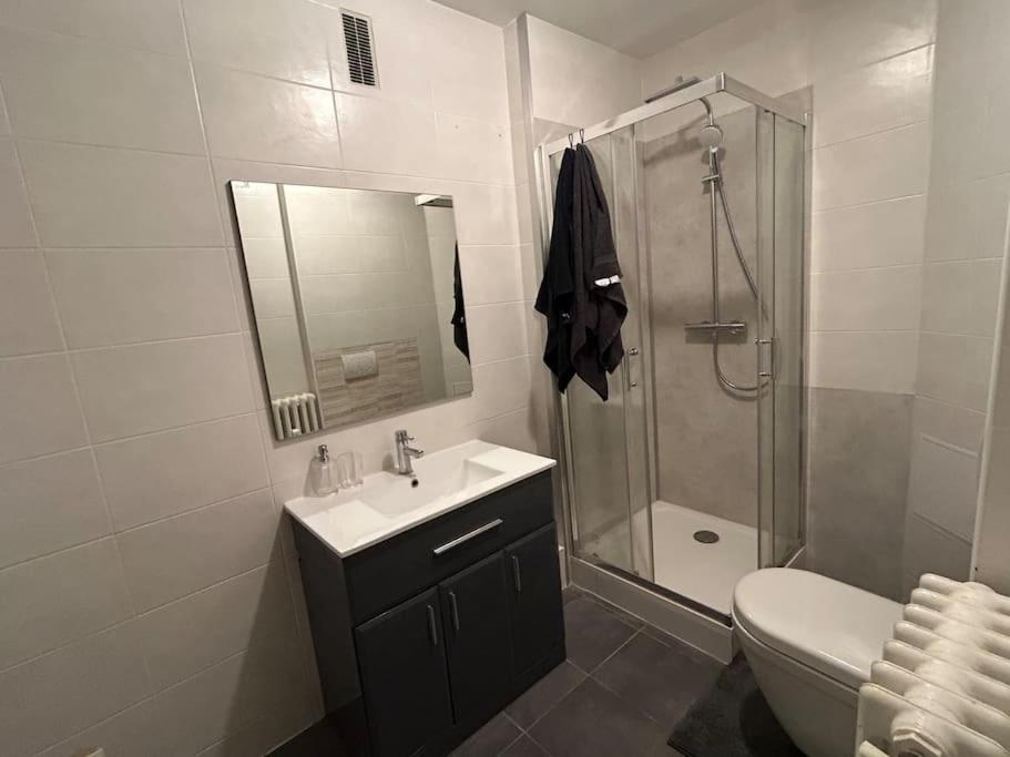 a bathroom with a sink and a shower and a toilet at Une vue imprenable sur Metz ! in Metz