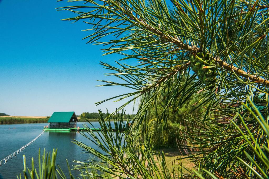 una rama de árbol con una casa en el agua en Kazachiy Khutorok Baza Otdykha, en Kazachiy