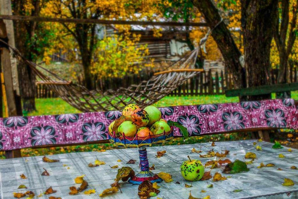 Giardino di Iamze's Guest House