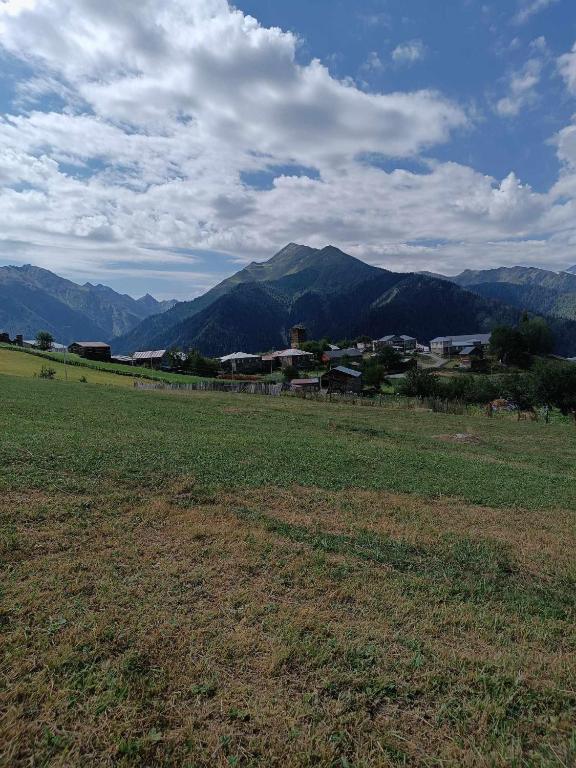 Paesaggio naturale nelle vicinanze dell'affittacamere
