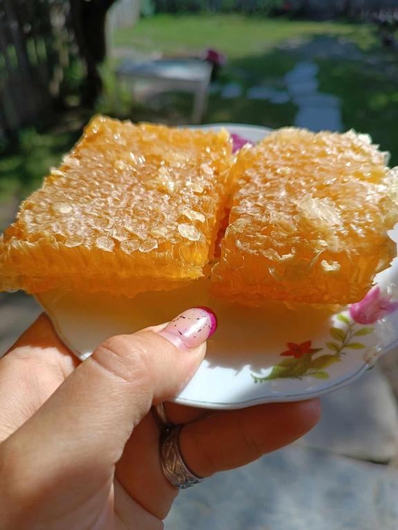 Cibo presso l'affittacamere o nelle vicinanze