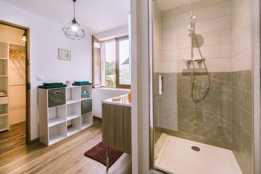 a bathroom with a shower and a sink at La Petite Maison in Bonvillard