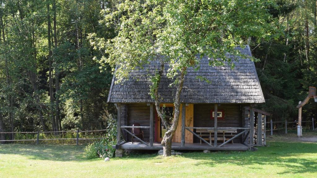 Labanoro pasaka - Elenutės namai - Casa Natalizia