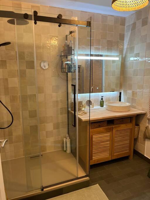 a bathroom with a glass shower and a sink at Maison climatisée 155 m2+jardin in Puteaux