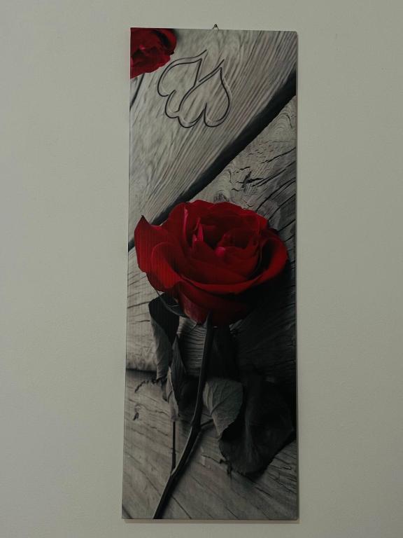 a picture of a red rose on a wooden floor at APPARTAMENTO Exclusive in Marsala