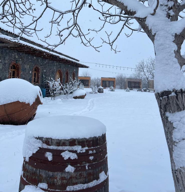 Chubini Winery & Cabins v zimě