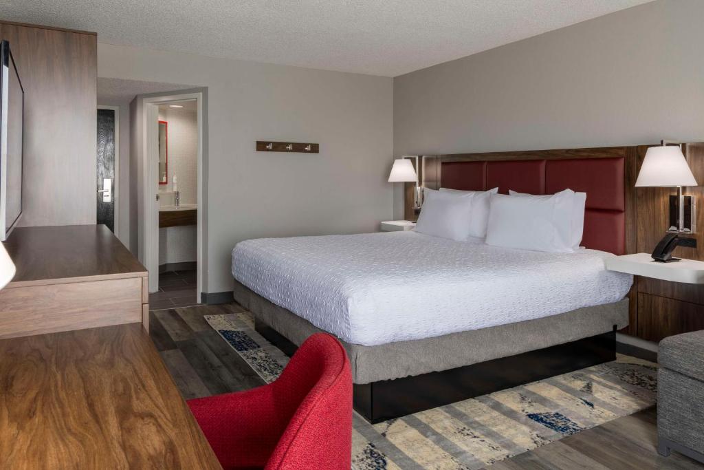 Hampton Inn Athens - King Room