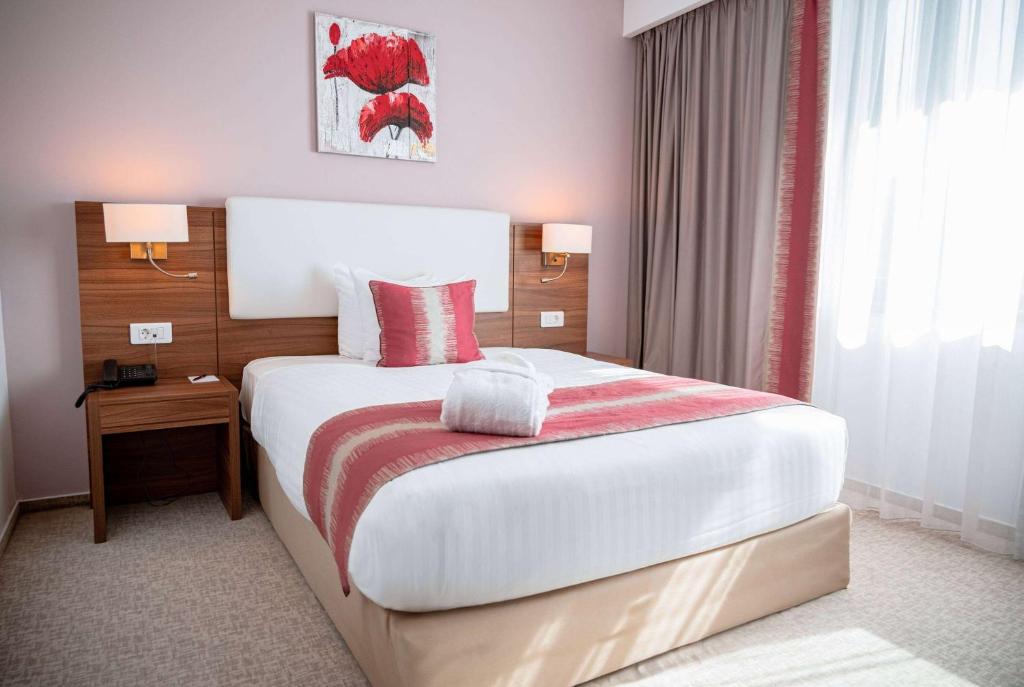 Ramada Plaza Craiova - Resim 23