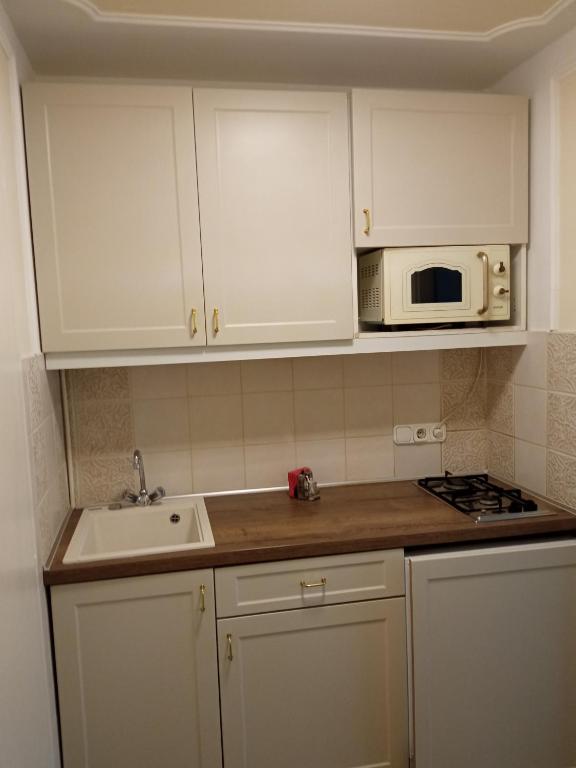 Kuchyňa alebo kuchynka v ubytovaní Apartman Orgona