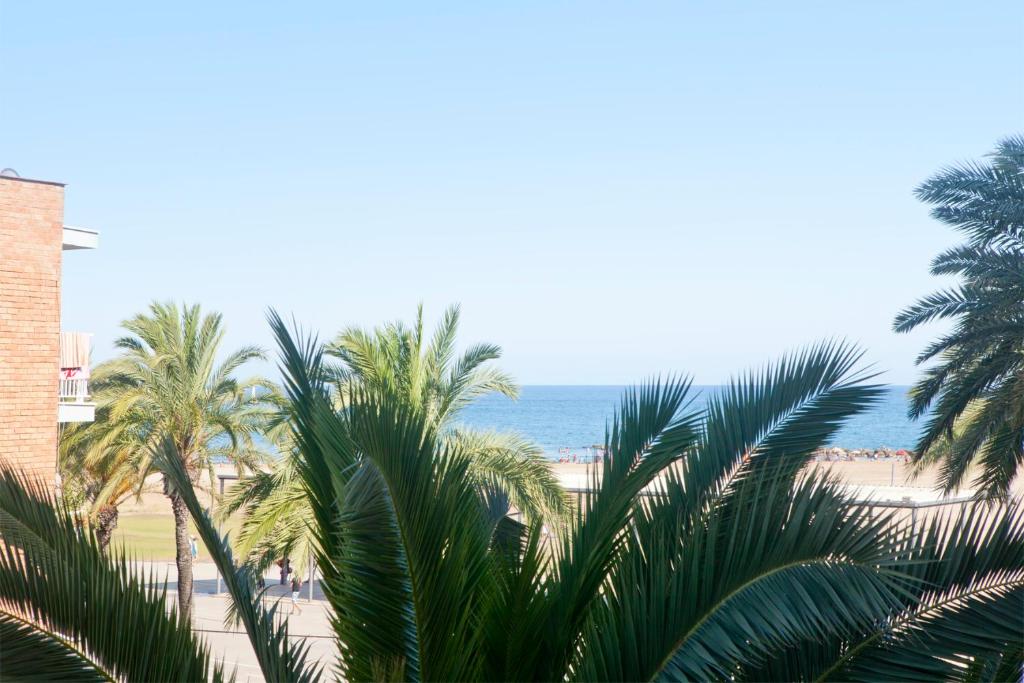 een uitzicht op een strand met palmbomen en de oceaan bij Spot beachfront apartment minimun rent one month in Vilanova i la Geltrú