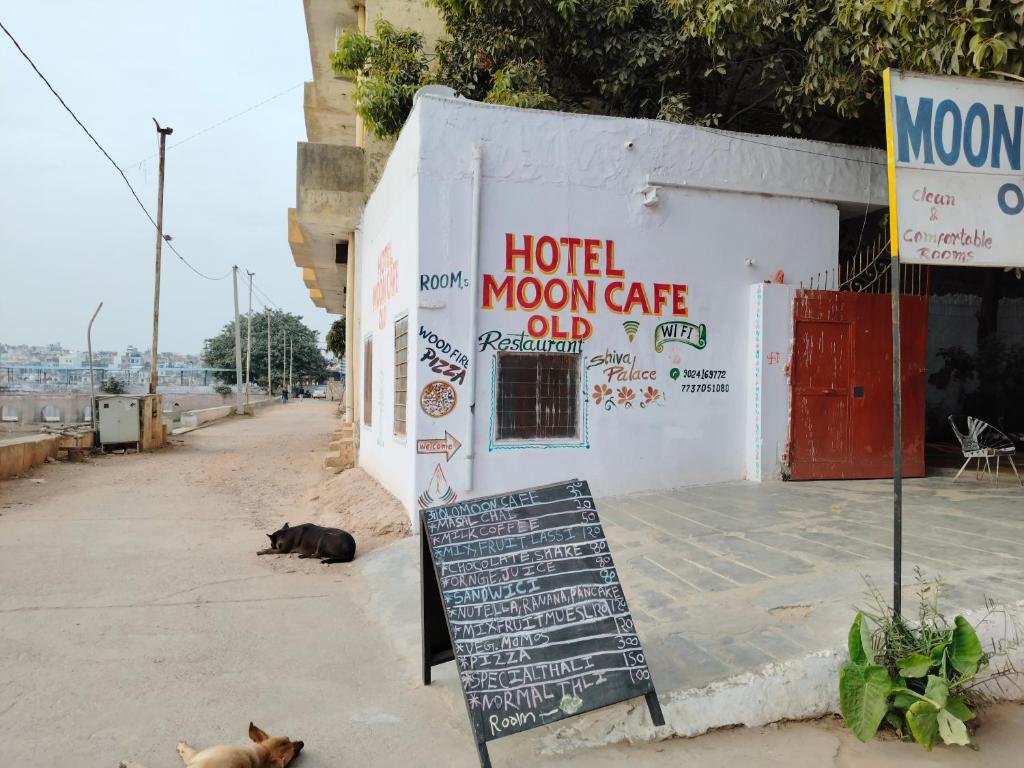 a dog laying next to a hotel moroccan moon cafe at Hotel Old Moon Cafe in Pushkar