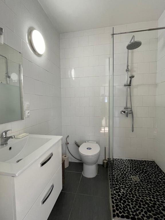 Kúpeľňa v ubytovaní Maison plain-pied Tarbes