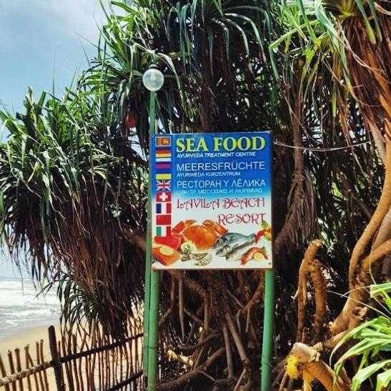 Lavila beach cottage - Housity