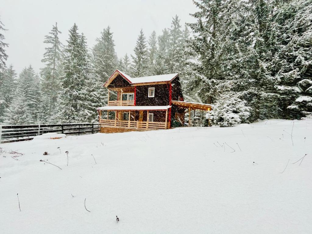 une cabane en rondins dans la neige avec des arbres dans l'établissement Cosy wooden house in the heart of Apuseni., à Beliş